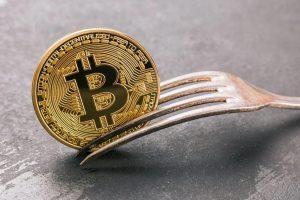 What is a Fork in Blockchain