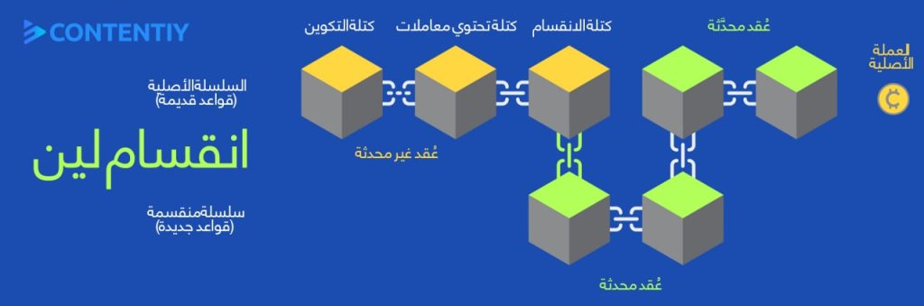  سوفت فورك