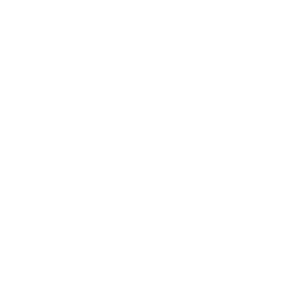 Phoenix Groups Logo