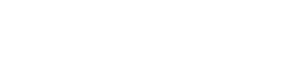 Phoenix Store Logo