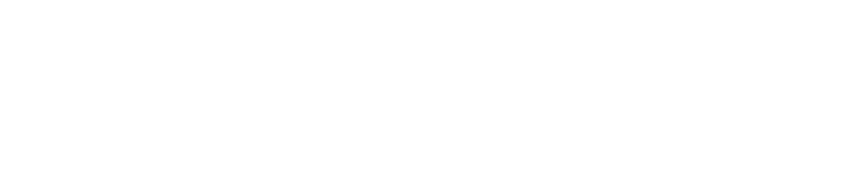 Phoenix Store Logo